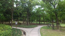三林公园