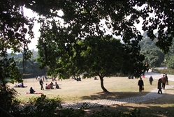 中山公园