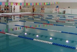 奥星青少年游泳俱乐部
